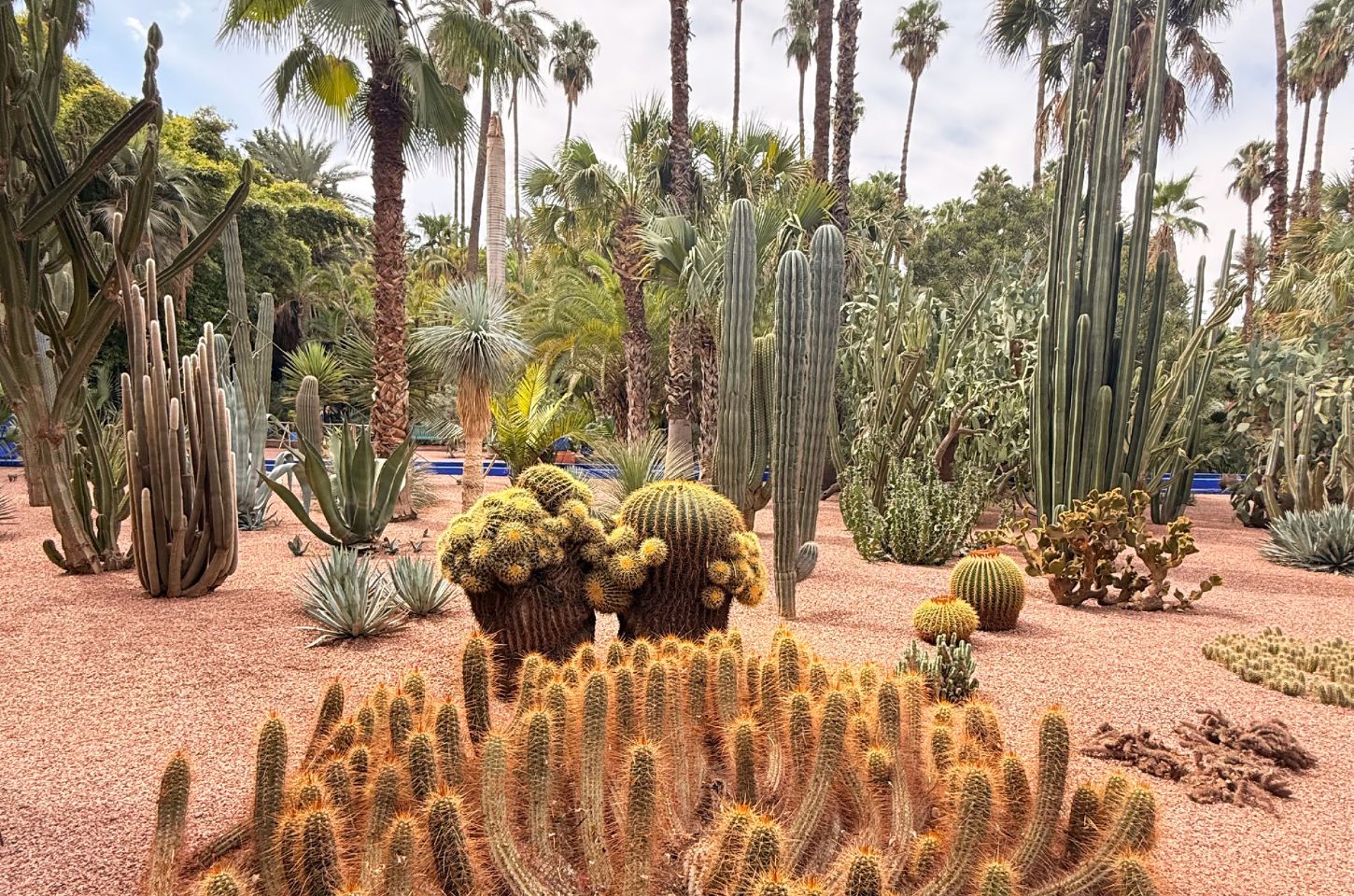 สวนจาร์ดีน มาจอแรล