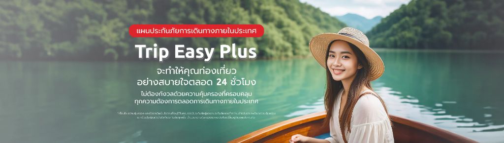 ประกันเดินทางในประเทศ MSIG